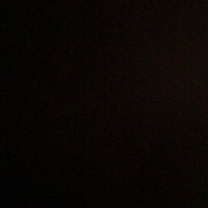 Meet your Posher, Priscilla